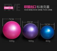 瑜伽球SWISS BALL